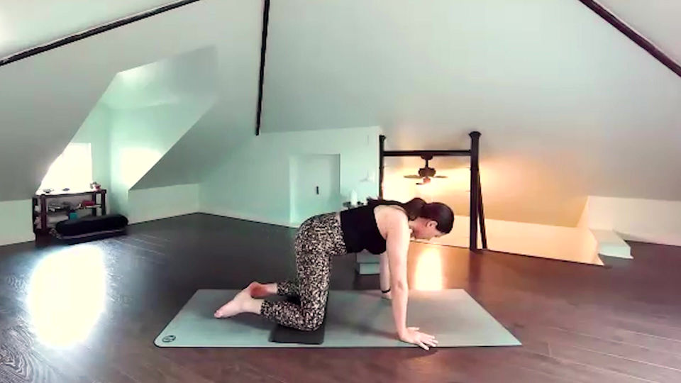 Express Vinyasa | Full Body Flow
